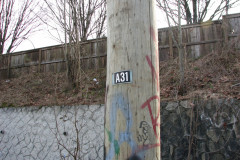   - 07 March 2009