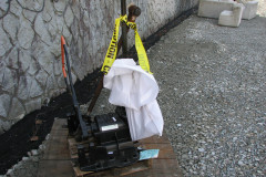   - 07 March 2009