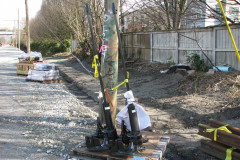   - 07 March 2009