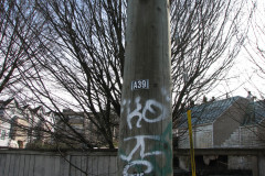   - 07 March 2009