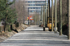   - 07 March 2009