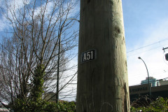   - 07 March 2009