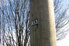   - 07 March 2009