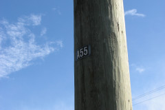   - 07 March 2009