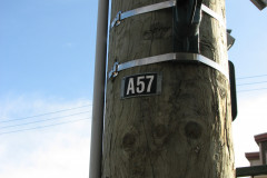   - 07 March 2009