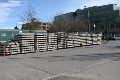   - 07 March 2009