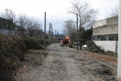   - 07 March 2009