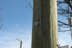   - 07 March 2009