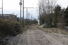   - 07 March 2009