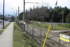   - 07 March 2009