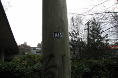   - 07 March 2009