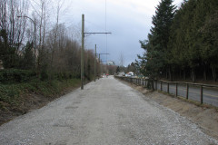  - 07 March 2009