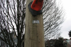   - 07 March 2009