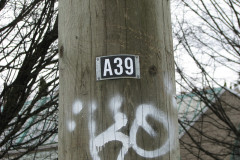   - 07 March 2009