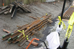  - 07 March 2009