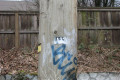   - 07 March 2009