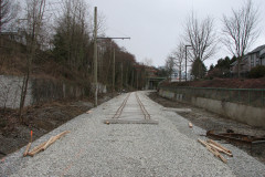   - 07 March 2009