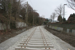   - 07 March 2009