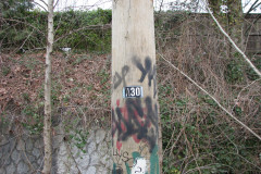   - 07 March 2009
