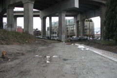   - 07 March 2009