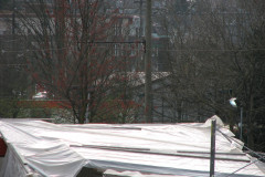   - 04 April 2009
