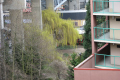   - 10 April 2009