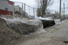   - 10 April 2009