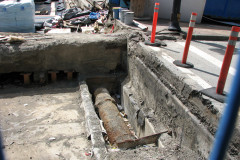29 April 2009