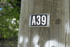 29 April 2009