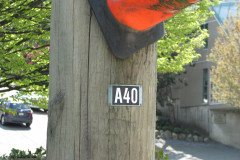 29 April 2009