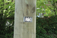 29 April 2009