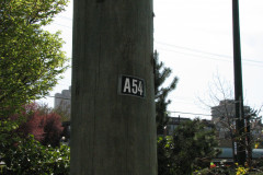 29 April 2009