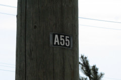 29 April 2009