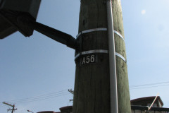 29 April 2009
