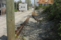 29 April 2009