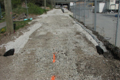 29 April 2009