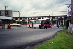 5411 IMGN037