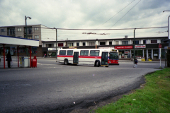 5411 IMGN038