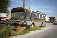 IMGN145