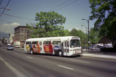 IMGN242