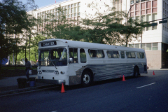 IMGN336