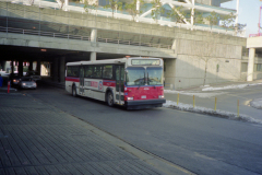 4339 2FYD2CG19NU014438