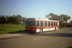 penticton 8033 IMGN562