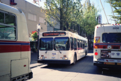 7334 IMGN_133