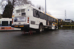 IMG_20111215_104543
