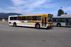 IMG_20150824_154900