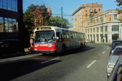 4691 PICT0358