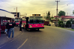 5411 PICT0398