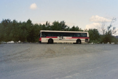 9203 PICT1222