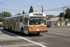 mississauga SN_0017